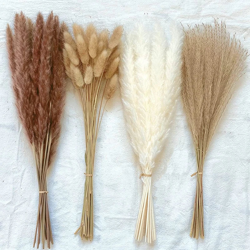 Dried Natural Pampas Grass - Boho Home Decor & Events