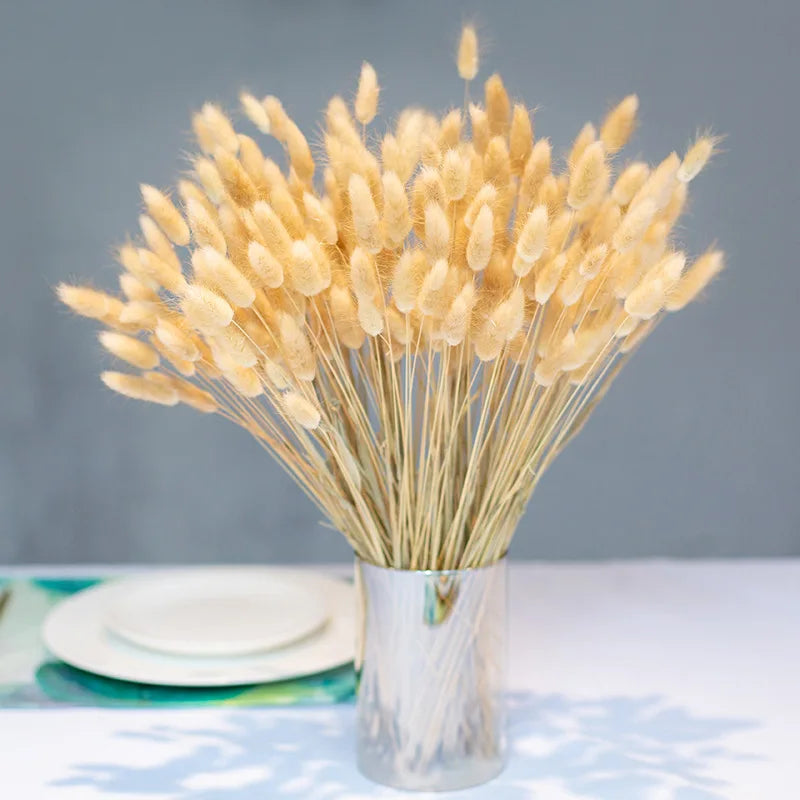 Dried Natural Pampas Grass - Boho Home Decor & Events